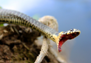 Similar image 2233011