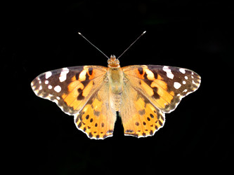 Similar image 2233010