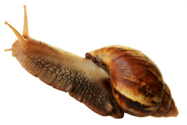 Similar image 2233016