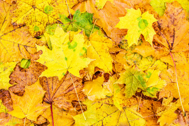 Similar image 2233042