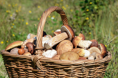 Similar image 2233078