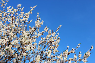 Similar image 2233091