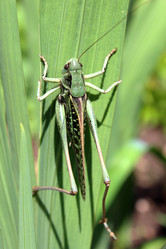 Similar image 2233094