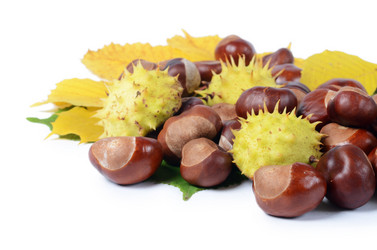 Similar image 2233284