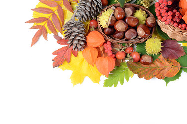 Similar image 2233286