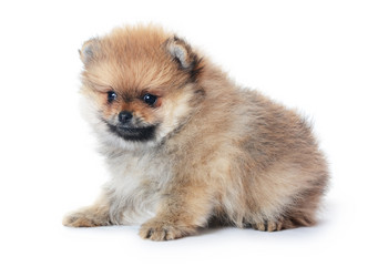 Similar image 2233294