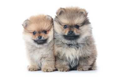 Similar image 2233296