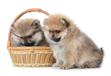 Similar image 2233302