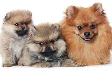 Similar image 2233306