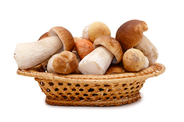 Similar image 2233327