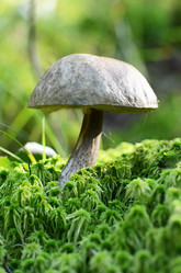 Similar image 2233428