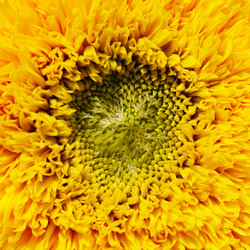 Similar image 2233430