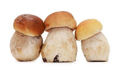 Similar image 2233432