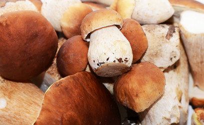 Similar image 2233433