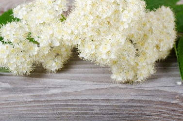 Similar image 2233461