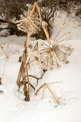 Similar image 2233639