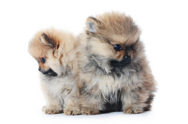 Similar image 2233665