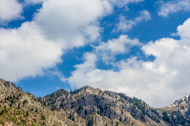 Similar image 2233675