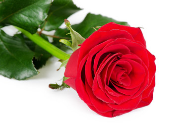 Similar image 2233718