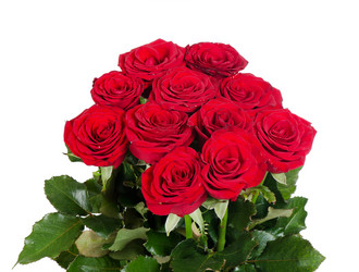 Similar image 2233719