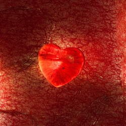 Similar image 2233776