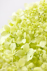 Similar image 2233797