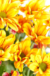 Similar image 2233799