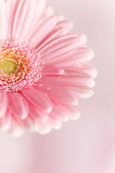 Similar image 2233813