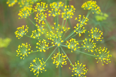 Similar image 2233818