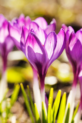 Similar image 2233819