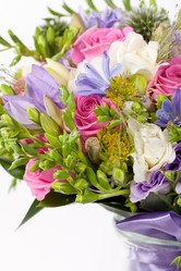 Similar image 2233823