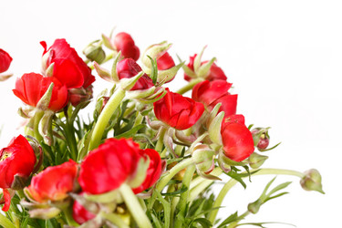 Similar image 2233876