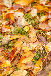 Similar image 2233940