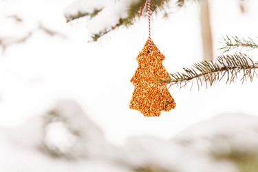 Similar image 2233943