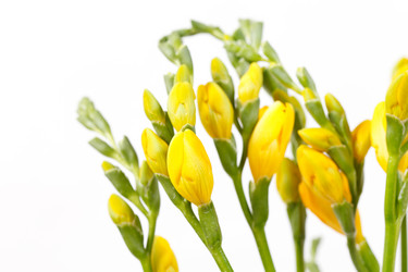 Similar image 2233945