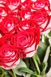 Similar image 2233947