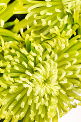 Similar image 2233952