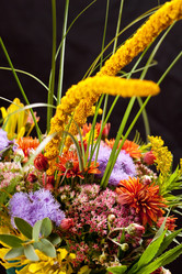 Similar image 2233962