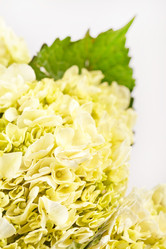 Similar image 2233966