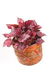 Similar image 2233971