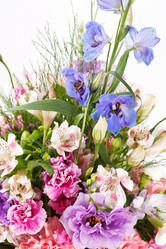 Similar image 2233977