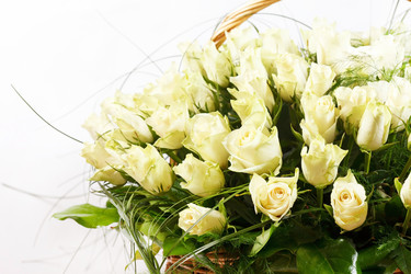 Similar image 2233974