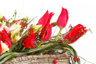 Similar image 2233979