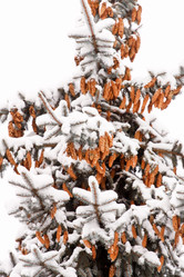 Similar image 2233980