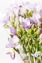 Similar image 2233990