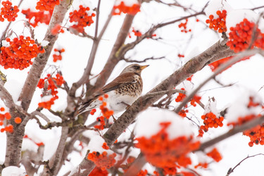 Similar image 2233992