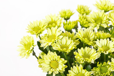 Similar image 2233994