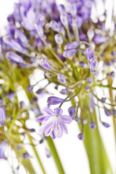 Similar image 2234004