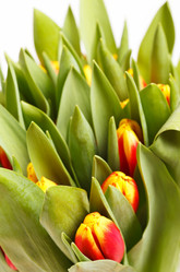 Similar image 2234008