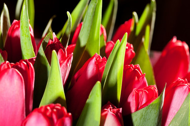 Similar image 2234009